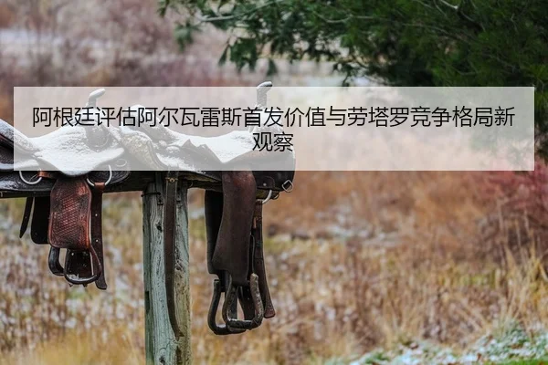 阿根廷评估阿尔瓦雷斯首发价值与劳塔罗竞争格局新观察